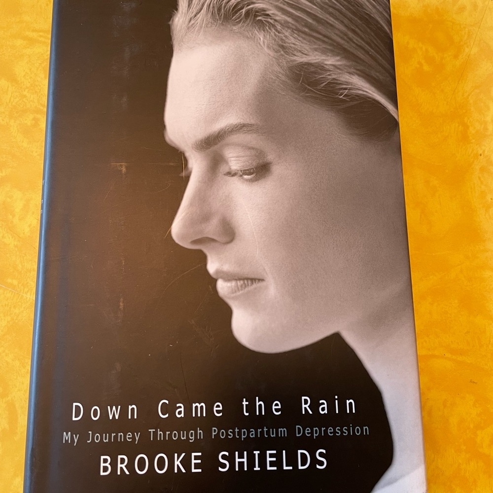 🌧☔️DOWN CAME THE RAIN HARD COVER BOOK
